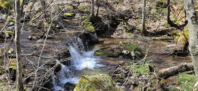 38162 Seneca Trail, Slatyfork, WV 26291 - photo 4