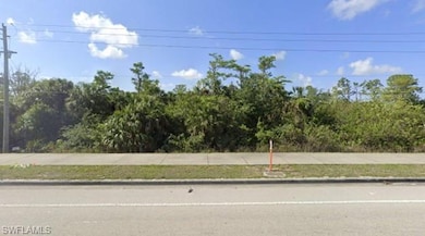 View from Immokalee Road