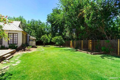 Backyard 1