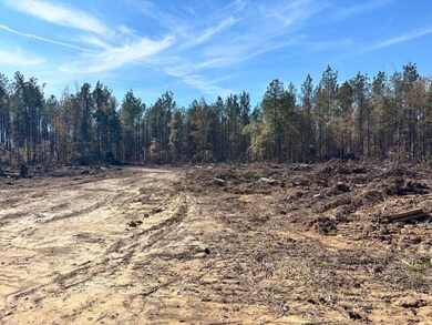 00 Griffin Rd, Shuqualak, MS 39361 - photo 6