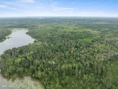 TBD 290th St, Two Inlets Township, MN 56470 - photo 5