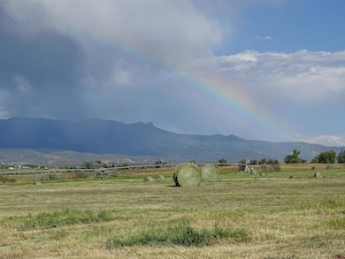 TBD Grandview Mesa Rd, Crawford, CO 81415 - photo 3