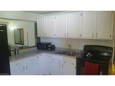 384 Cove Beach Ave, Sheffield Lake, OH 44054 - photo 4