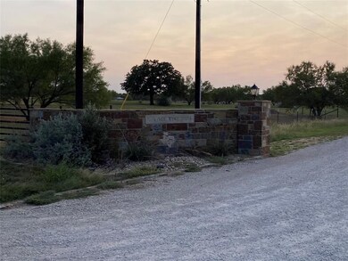 1011 Turkey Meadows Ln, Weatherford, TX 76088 - photo 2