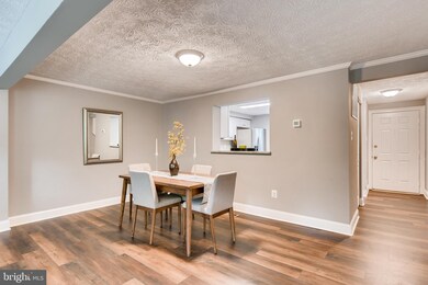 509 Oakmont Ct, Arnold, MD 21012 - photo 6