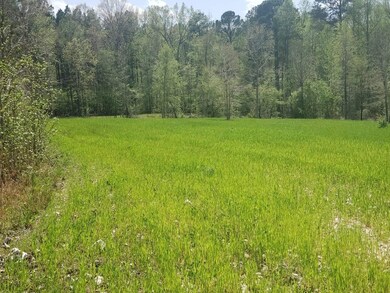 1920 Loco Church Rd, Lincolnton, GA 30817 - photo 4