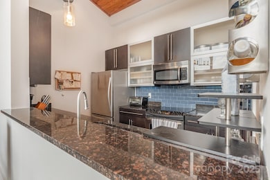 2116 Mcclintock Rd unit 233, Charlotte, NC 28205 - photo 6