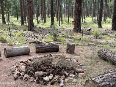 firepit