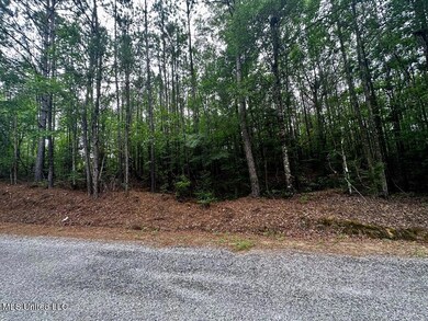 0 W NEBO RD PIC 3