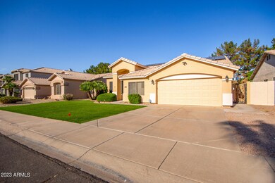 06 Ocotillo 729
