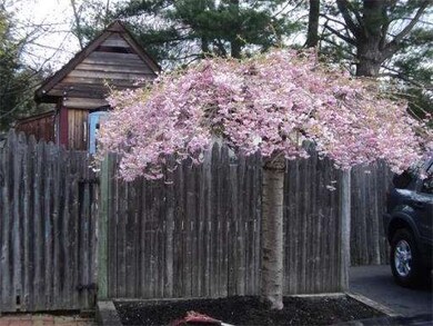 77 Main Blvd, Shrewsbury, MA 01545 - photo 3