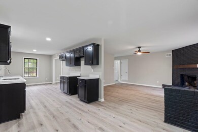 Kitchen featuring a sink, light wood-type flooring, dark cabinets, a ceiling fan, and recessed lighting