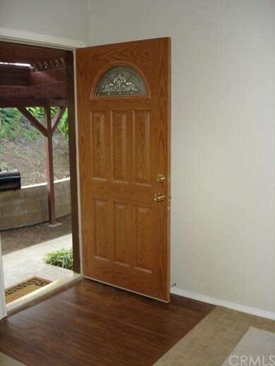 New Front entry door