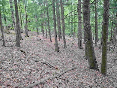 Map 132 Lot 115 Arrowhead Ln, Gilmanton, NH 03237 - photo 5