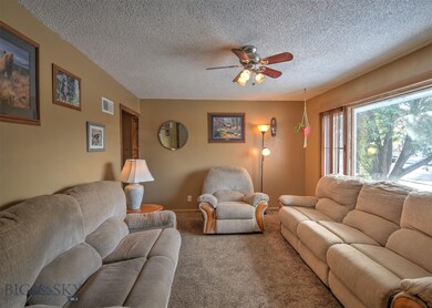 430 N 5th Ave, Bozeman, MT 59715 - photo 5