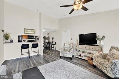 6455 Greenfield Rd unit 1109, Elkridge, MD 21075 - photo 6