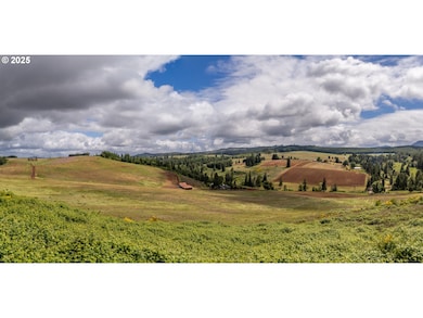 1066 Red Hill Rd, Oakland, OR 97462 - photo 3