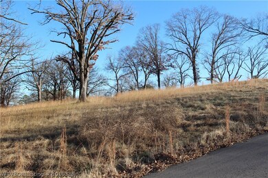 314 & 318 Stone Mountain Loop, Alma, AR 72921 - photo 5