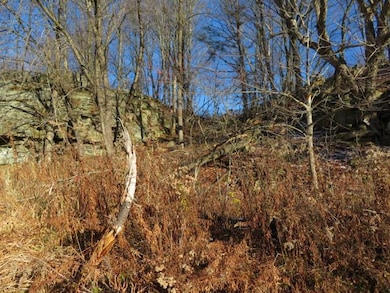 30269 Co Rte 22, Theresa, NY 13691 - photo 7