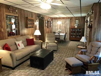 102 E Union St, Virginia, IL 62691 - photo 5