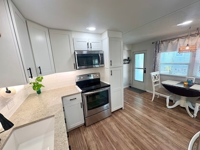 1100 Curlew Rd, Dunedin, FL 34698 - photo 6