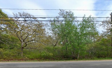 134 Old County Rd, West Tisbury, MA 02575 - photo 2