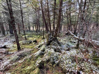 663 Ferguson Rd, Barnet, VT 05821 - photo 6