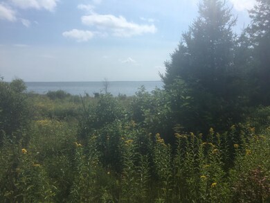 IMG-0405