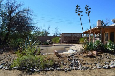 pool and desert landscaping