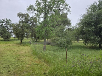 28826 Auberry Rd, Clovis, CA 93619 - photo 6