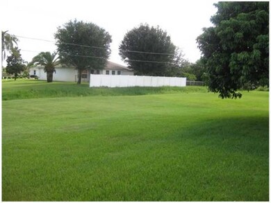 Yard/Garden.