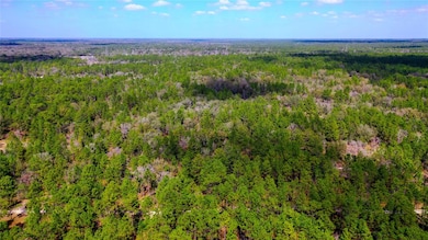 7137 W Sunmar Sample Ln, Dunnellon, FL 34433 - photo 4