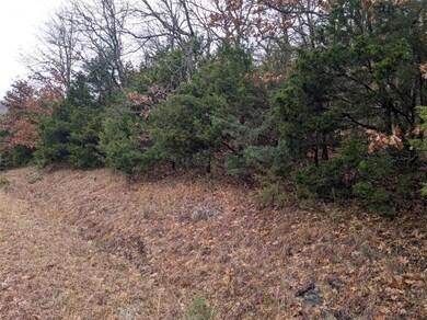 TBD Starlite Ave, Holiday Island, AR 72631 - photo 3