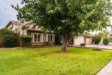 Large yard and shade tree