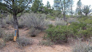 20170401_120437_1491361497408_resized (0