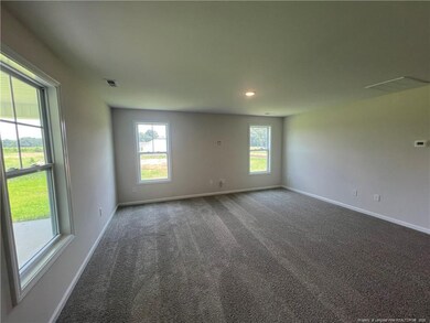 92 Dalton Dr, Lumber Bridge, NC 28357 - photo 5