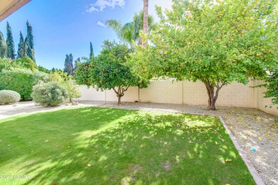 Large Private Backyard