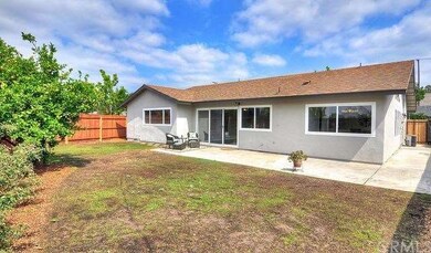 Large back yard with a lemon tree.  New lawn should be grown in a week