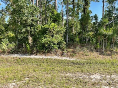 0 29th Ave Everglades Blvd unit 225082390, Naples, FL 34120 - photo 5