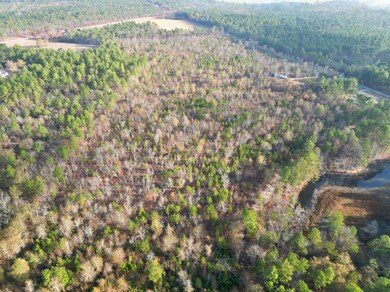 3391 Davis Bridge Rd, Williston, SC 29853 - photo 6