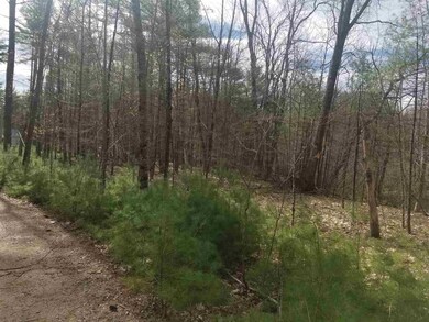 21B Lovejoy Sands Rd unit 21B, Meredith, NH 03253 - photo 6