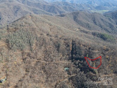 1098 Hyacinth Dr, Clyde, NC 28721 - photo 7