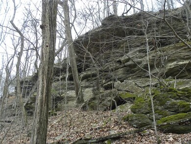 10 AC Highway 16, Crosses, AR 72727 - photo 4