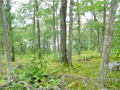 0 Bluff Lake Rd unit 1550790, Danbury, WI 54830 - photo 5