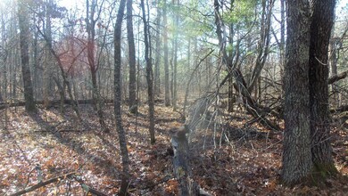 Lot 3 Ferry Rd, Grantsburg Township, WI 54840 - photo 5