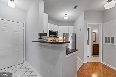4408 Helmsford Ln unit 204, Fairfax, VA 22033 - photo 6