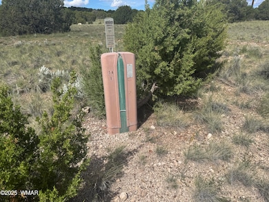 79 Alpine Ln, Concho, AZ 85924 - photo 4