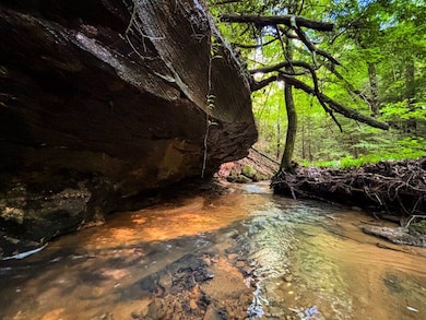 0 Hyde Rd, Phil Campbell, AL 35581 - photo 4