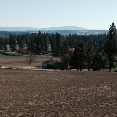 00 N Austin Rd, Colbert, WA 99005 - photo 3