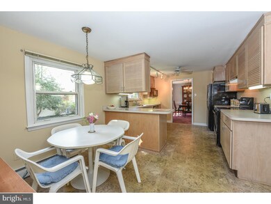 505 Wilder Rd, Wallingford, PA 19086 - photo 6